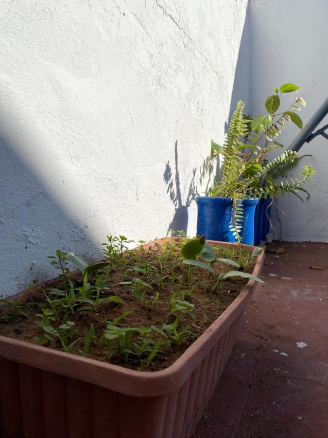House Albahara Oudayas Appartamento Rabat Esterno foto