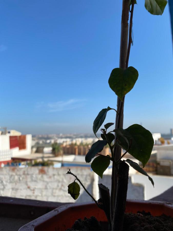 House Albahara Oudayas Appartamento Rabat Esterno foto